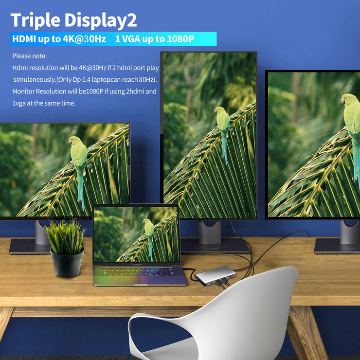 Type-C to Dual HDMI VGA Same Screen Dock 12 in 1