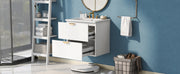 Modern 24-Inch Wall-Mounted Bathroom vanity with 2 Drawers,