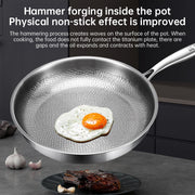 German uncoated pure titanium frying pan with fish