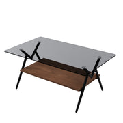 Rectangle Coffee Table with Tempered Glass