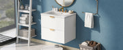 Modern 24-Inch Wall-Mounted Bathroom vanity with 2 Drawers,